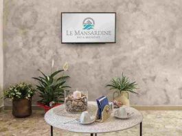 Le mansardine : hébergement atypique à découvrir mansardine